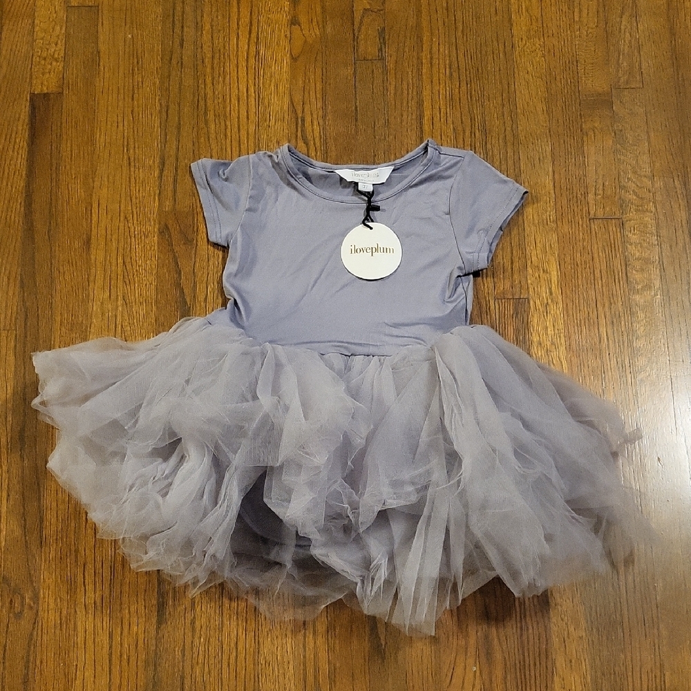 iloveplum GrayTulle Dress